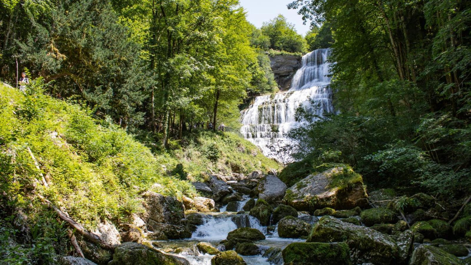 T2 Cosy Au Coeur Du Haut-Jura, Parking Gratuit Apartment Morbier Exterior foto